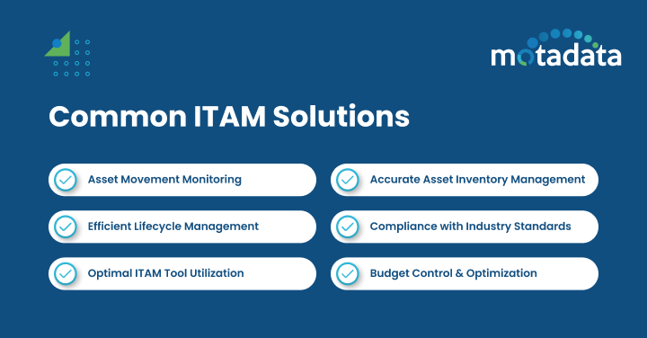 Common ITAM Solutions